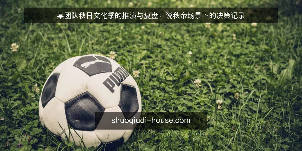 某团队秋日文化季的推演与复盘:说秋帝场景下的决策记录 — 信号观察:什么迹象表明该启动秋日文化安排 配图