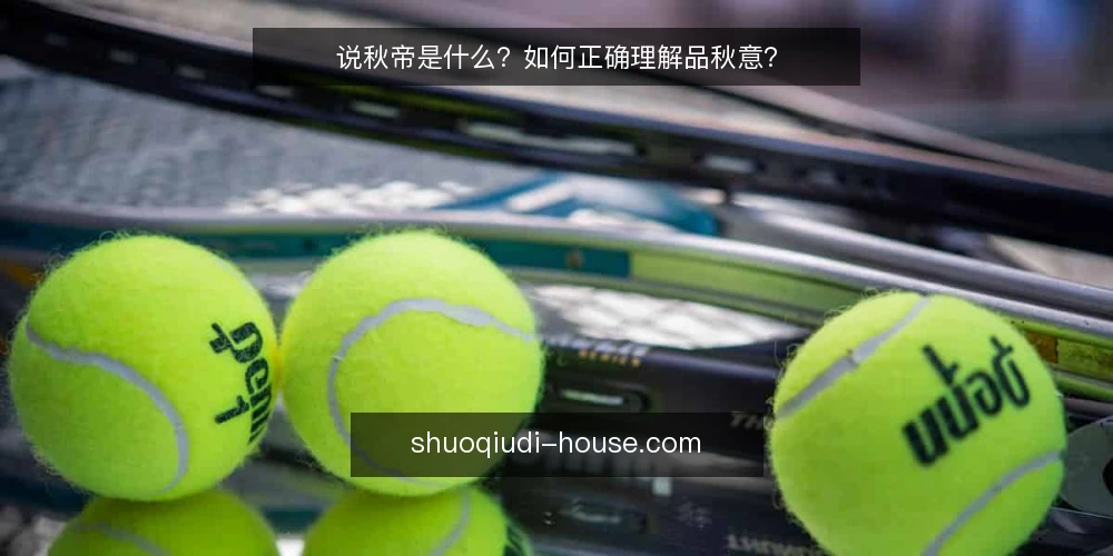 说秋帝是什么?如何正确理解品秋意? — 说秋帝的定义与来源 配图